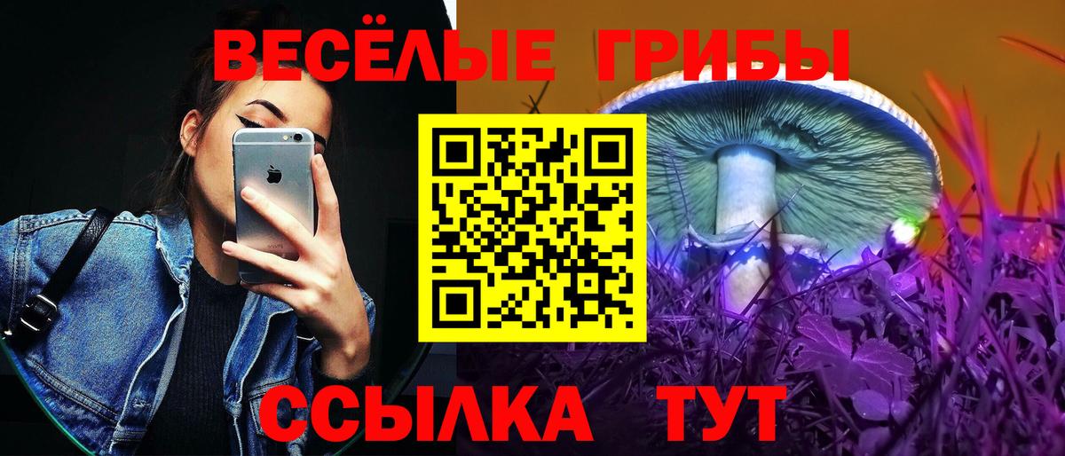 как найти закладки  Вход с VPN  Десногорск  Псилоцибиновые грибы мицелий 