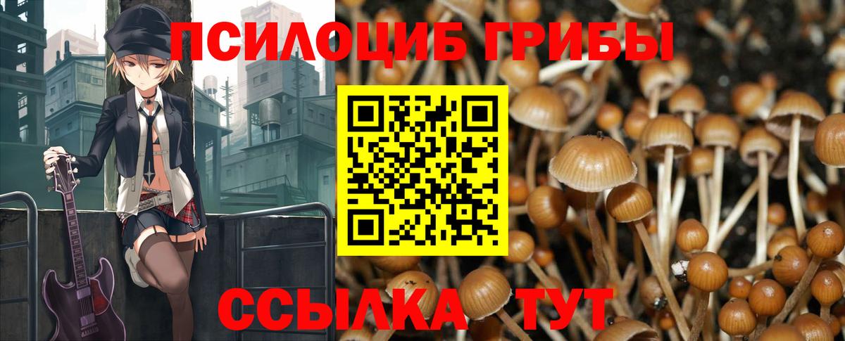 Галлюциногенные грибы Magic Shrooms Десногорск